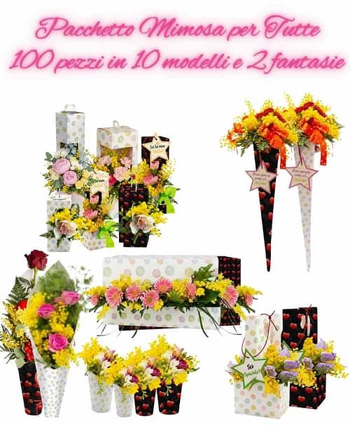 pacchetto-mimosa-per-tutte-100-in-10-modelli-assortiti
