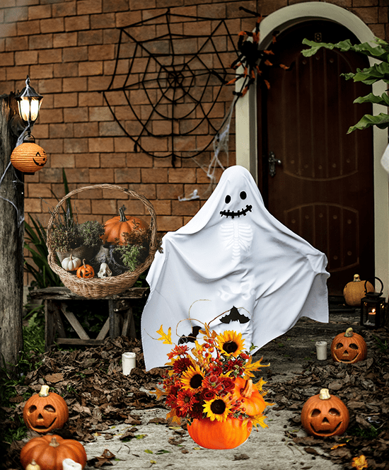 Vetrina con zucche e fantasmino