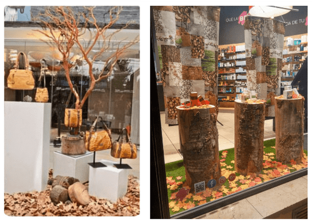 Vetrine d'autunno con foglie e tronchi legno
