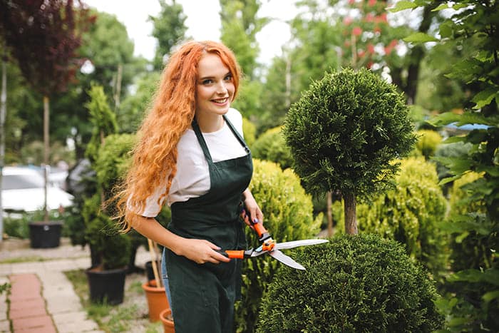 immagine ecommerce Arredo giardino terrazzi balconi idee per fioristi