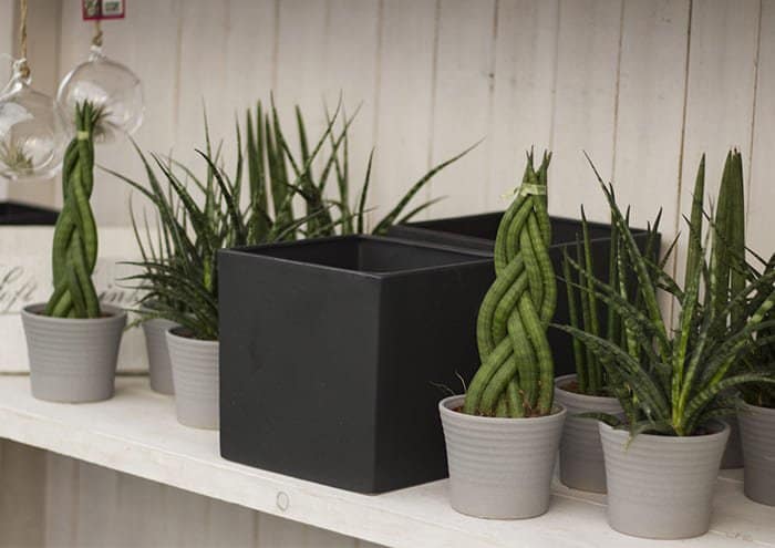 Set di 2 vasi rialzati per piante THUJA Metallo 21 cm Nero