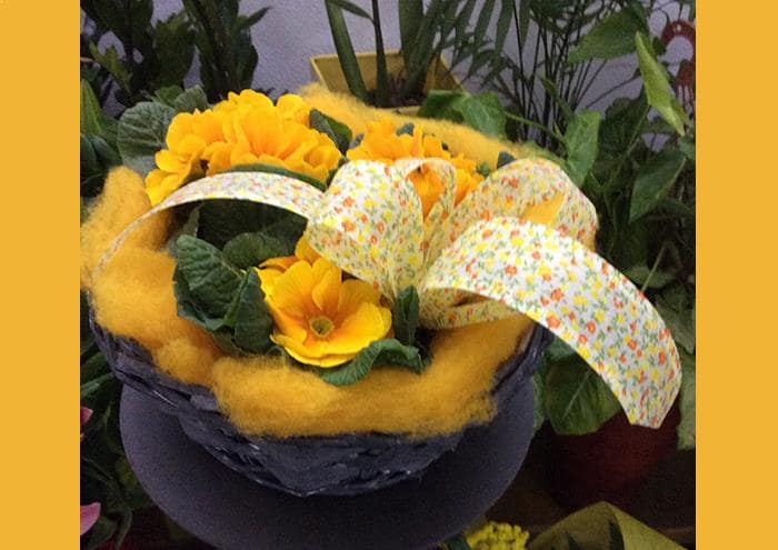 iotola in vimini grigio con primule e sisolana - complementi e regali