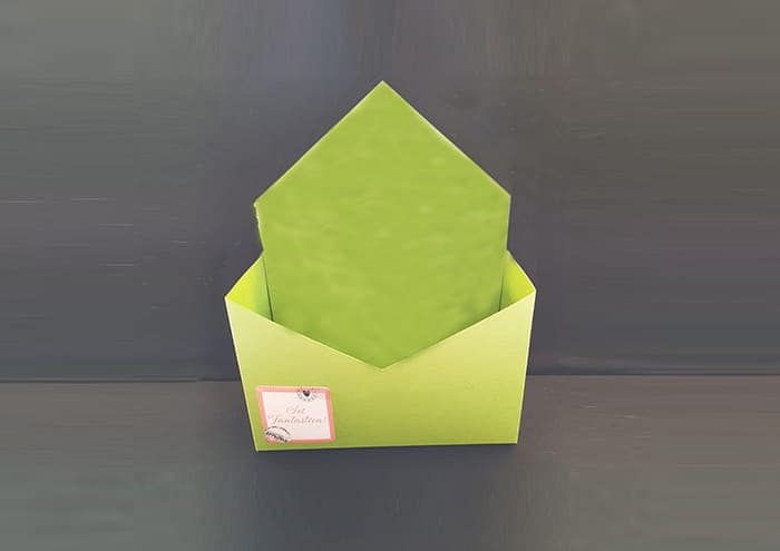 Letterflo' SMART Flower box forma lettera cm 18 - elegant green