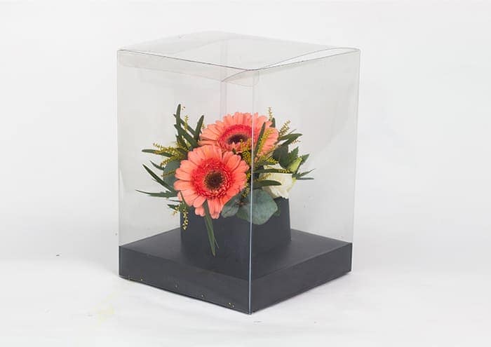 Crystalbox - Scatole trasparenti per fiori cm 21x21x32