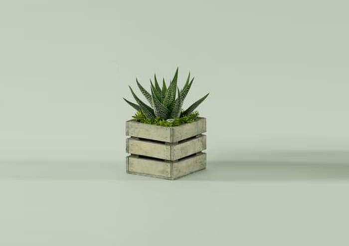 Immagine e commerce Cassette di legno quadrate grigie x1 bulbo