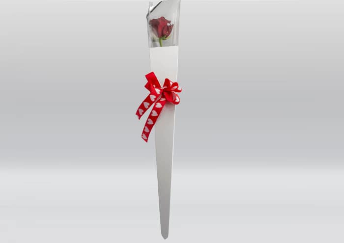 Everyday-Rose scatole trasparenti per rosa singola cm 75 - immagine 9