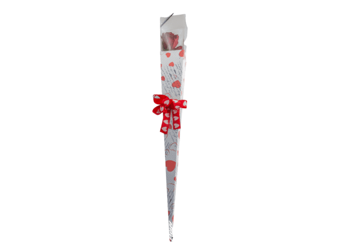 everyday-rose-scatole-trasparenti-per-rosa-singola-cm-75-immagine-1