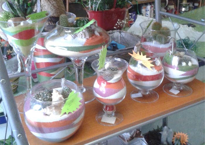 immagine blog Composizione di piante grasse in vetro con sabbia negozio Magliano Sabina