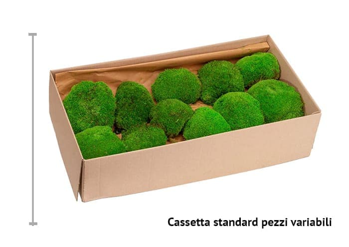 immagine e-commerce Muschio palla stabilizzato misura piccola - polemoss