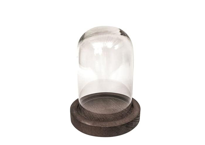Immagine e commerce Base legno scuro per cupola vetro cm 10.5 h1.5 (vetro non incluso)