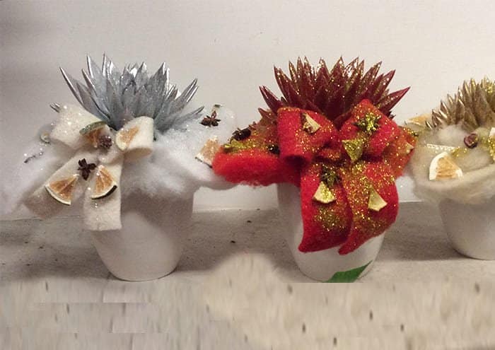 Vasi per piante diametro 10 cm Immagine esempio Vasi per piante diametro 10 cm