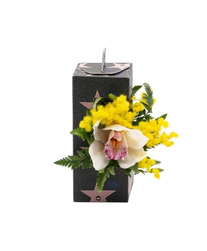 Everyday box mini – Flowerbox con finestra e manico cm 19 - immagine 4