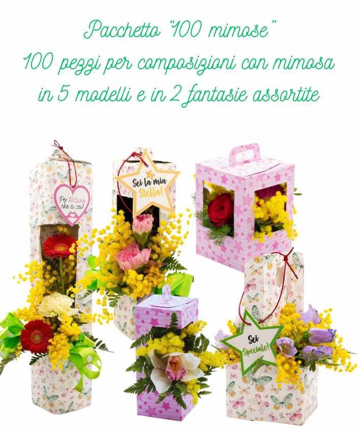 creflo110M-2024-pacchetto-100-mimose-scatole-per-mimosa-assortite