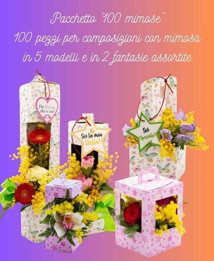 pacchetto-100-mimose-scatole-per-mimosa-assortite