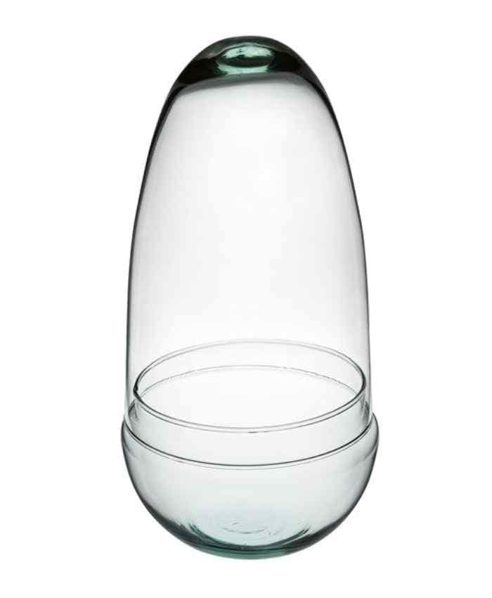 Terrarium-in-vetro-per-piante-forma-ovale-allungata-cm-12-h25