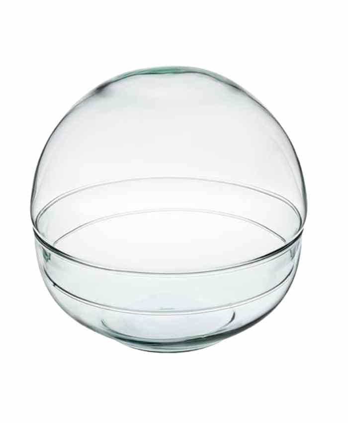 terrarium-in-vetro-per-piante-forma-sferica-cm-19-h19