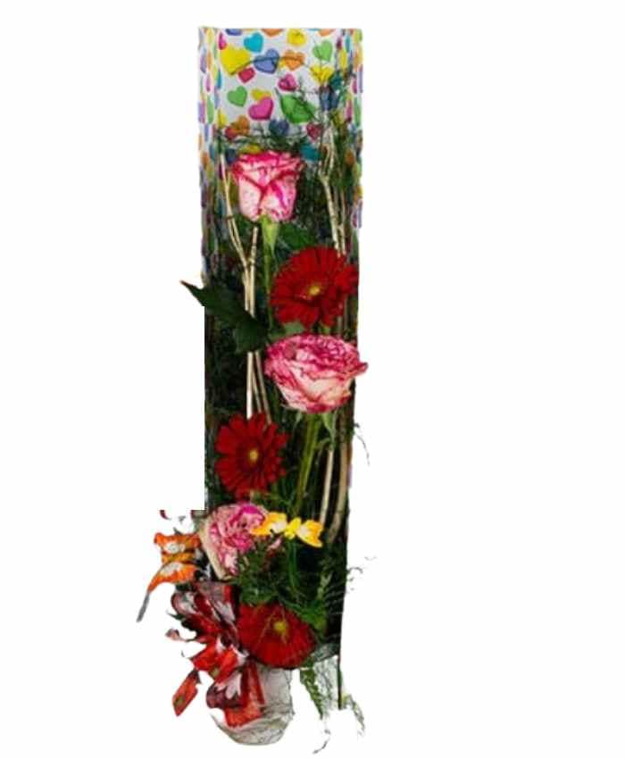 bringlove-box-scatola-regalo-per-rose-verticale-senza-coperchio-CUORI-MULTICOLOR