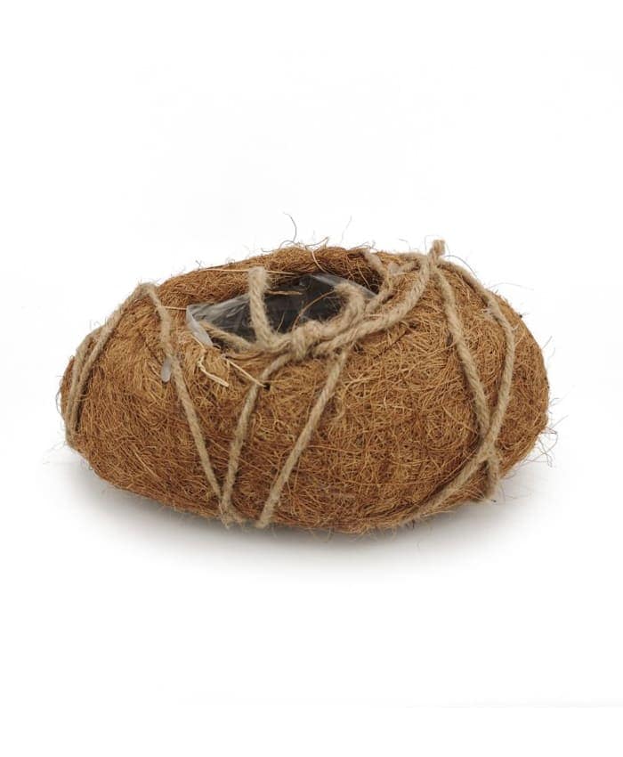 Immagine e commerce Ciotola in fibra di cocco forma ovale irregolare cm 25x14 h11