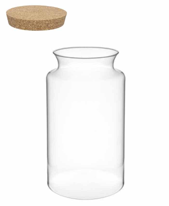 Immagine e commerce Vaso in vetro cilindrico con collo stretto per Terrarium alto 37 cm diametro 19