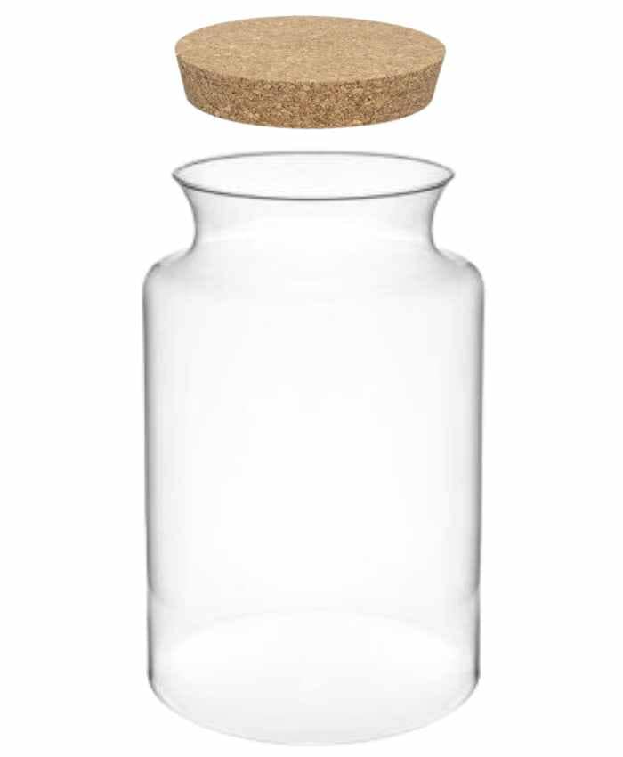 Immagine e commerce Vaso in vetro cilindrico con collo stretto per Terrarium alto 32 cm diametro 19