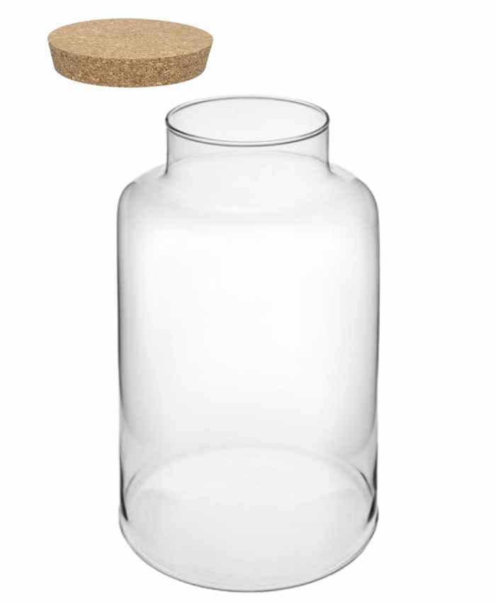 Immagine e commerce Vaso in vetro cilindrico con collo stretto per Terrarium alto 27 cm diametro 14