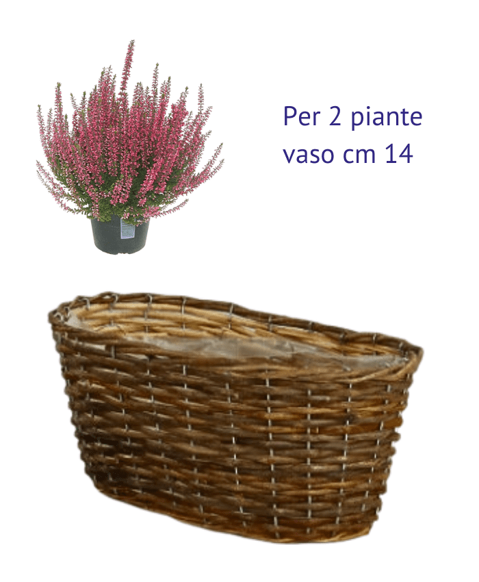 Immagine e commerce Cesto in vimini salice grazzo forma ovale per 2 piante 14 cm