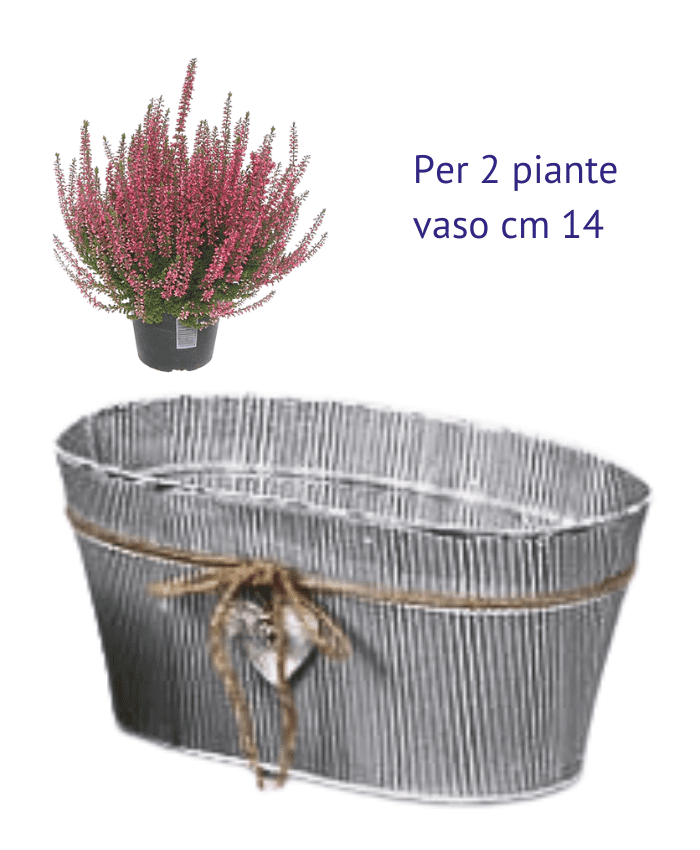 Immagine e commerce Contenitore latta anticata decoro righe con cordoncino e cuore per 2 piante vaso 14 cm