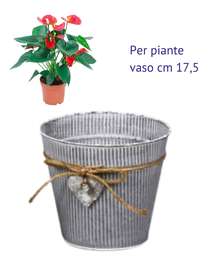 Immagine e commerce Secchiello latta anticata rigata con cordoncino e cuore per piante vaso 17 cm
