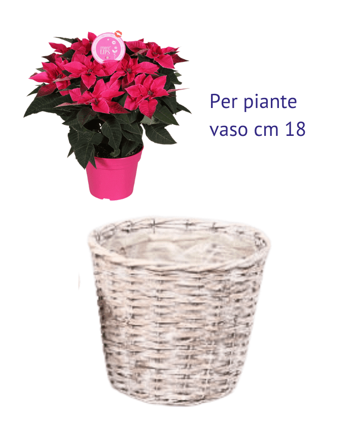 Immagine e commerce Portavaso vimini chiaro sbiancato per piante vaso 18 cm