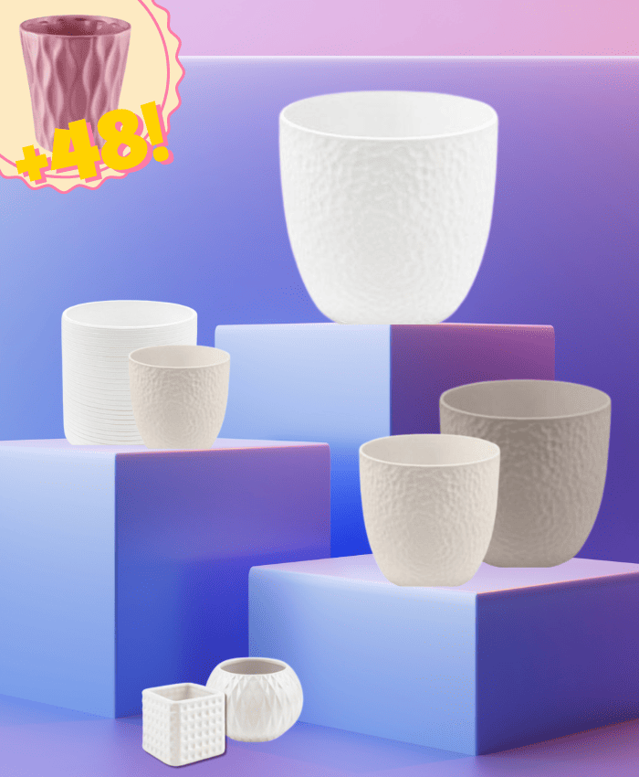 Immagine ecommerce Assortimento vasi ceramica per piante con vaso da 6 a 22 cm