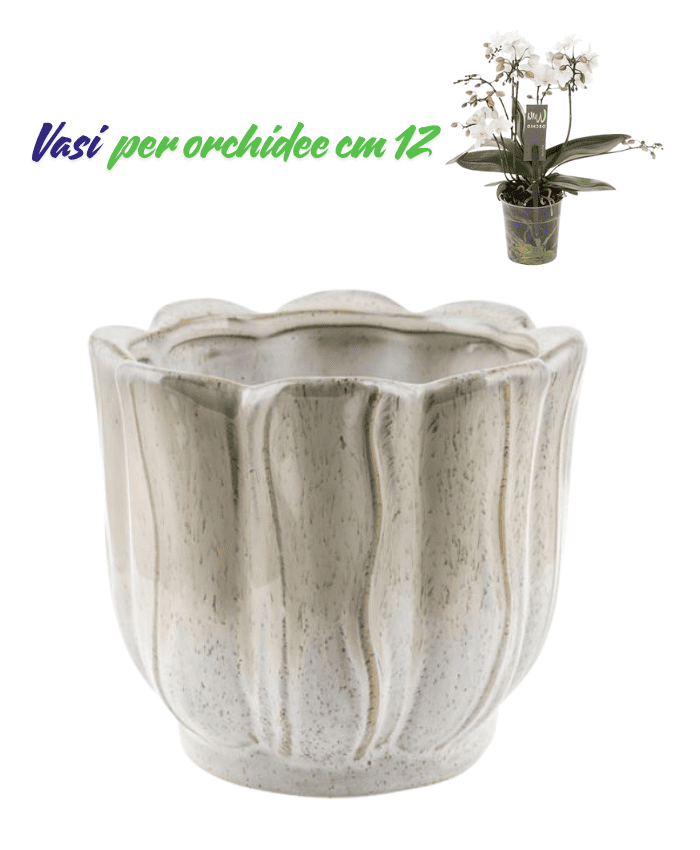 Immagine e commerce Vasi per orchidee superficie ondulata stile classico elegante colore bianco