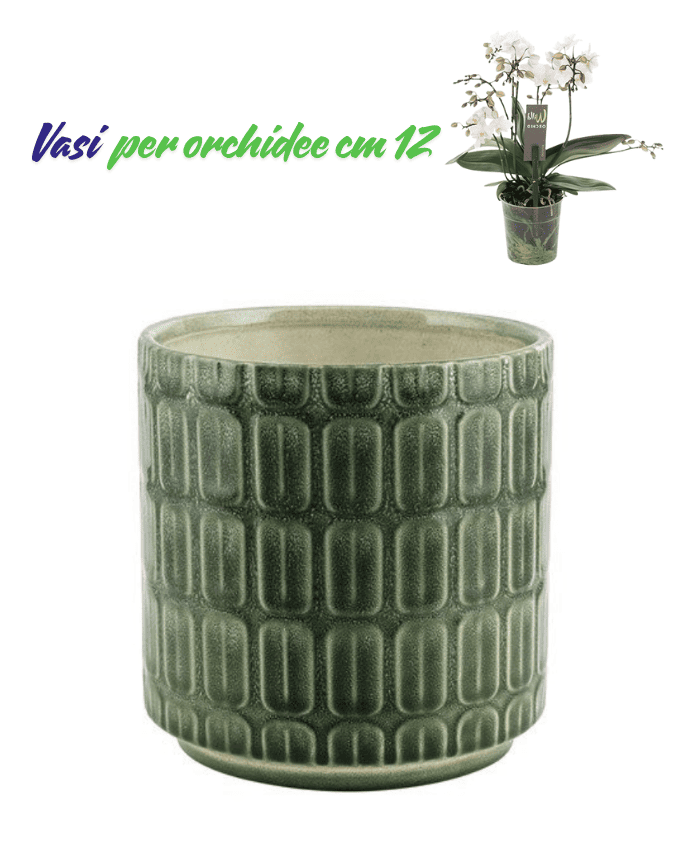 Immagine e commerce Vaso per orchidee con decori rettangolari in rilievo colore verde