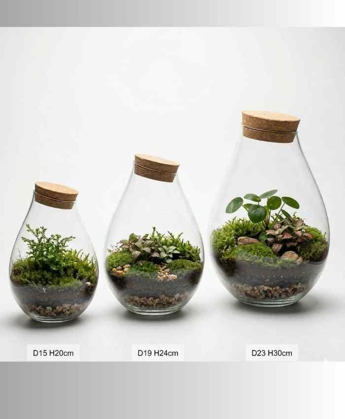 Vaso-vetro-con-tappo-sughero-a-forma-di-goccia-per-terrarium-diametro-1