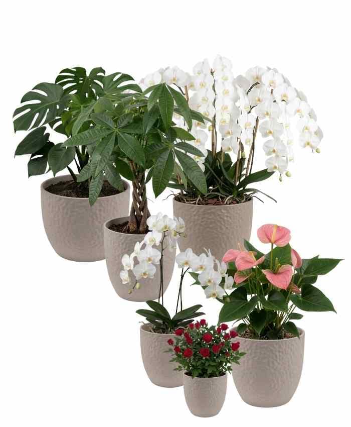 Pacchetto Tutto pronto Coordinato ceramica Bianca 40 pz - immagine 4