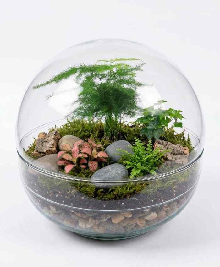Pacchetto "Tutto pronto" Terrarium 36 basi in vetro - immagine 5