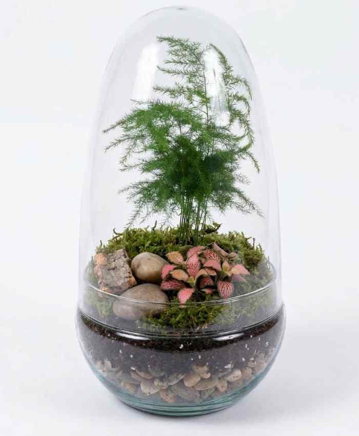 Pacchetto "Tutto pronto" Terrarium 36 basi in vetro - immagine 6