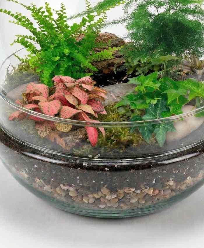 Pacchetto "Tutto pronto" Terrarium 36 basi in vetro - immagine 7