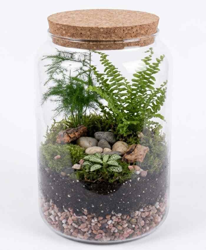 Pacchetto "Tutto pronto" Terrarium 36 basi in vetro - immagine 8
