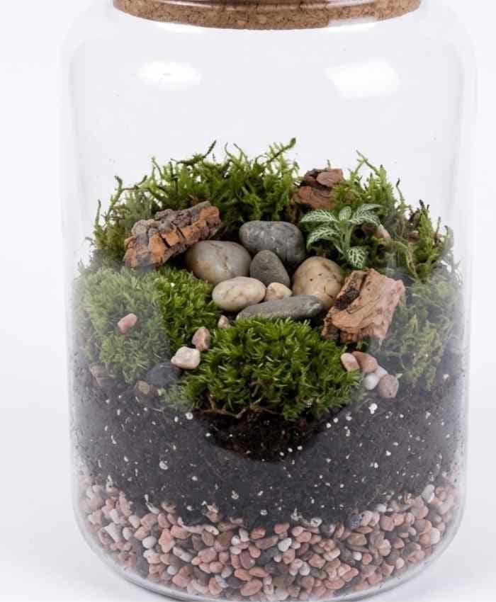 Pacchetto "Tutto pronto" Terrarium 36 basi in vetro - immagine 9