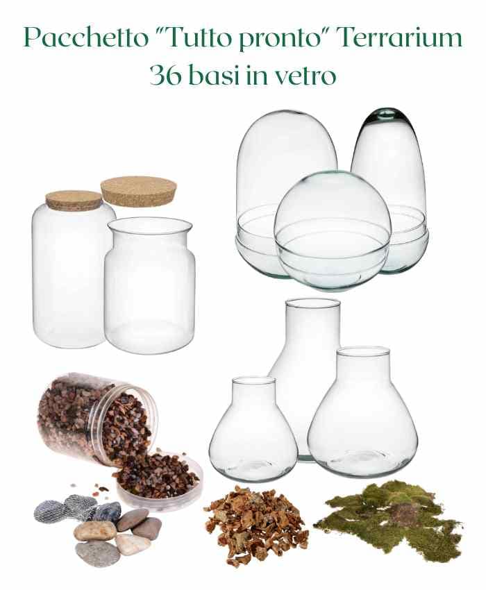 pacchetto-tutto-pronto-terrarium-36-basi-in-vetro