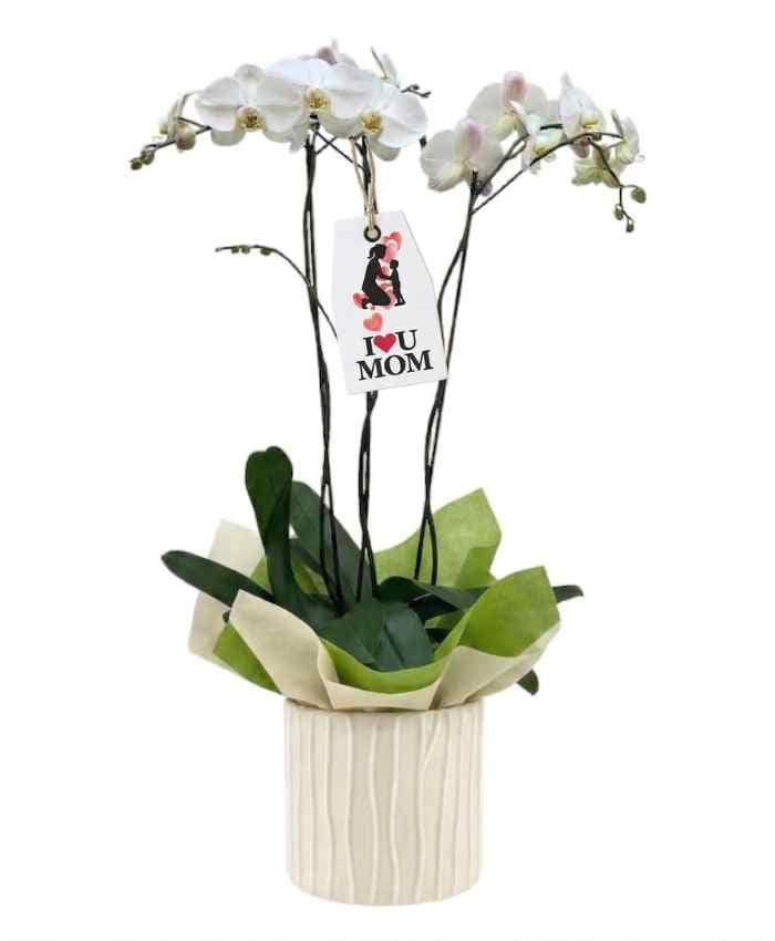 Vaso orchidea cilindrico con decori verticali in rilievo-Avorio - immagine 3