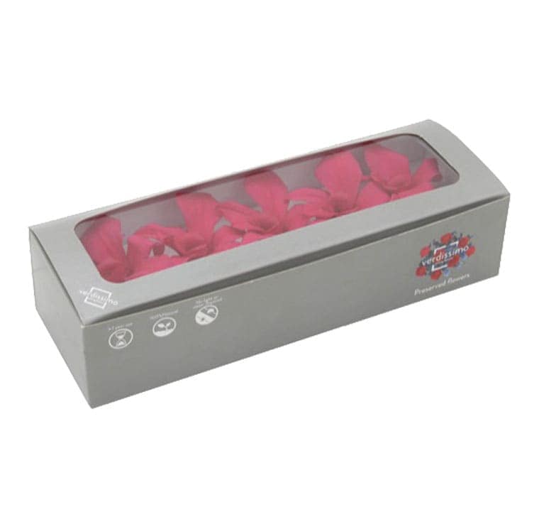 immagine e-commerce Orchidea stabilizzata dendrobium confezione 5 pz colore fucsia