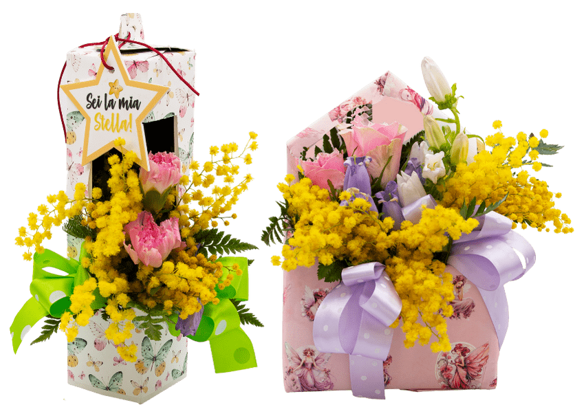 Nuove Confezioni Creflò Festa della Donna 2024 Nuove Confezioni Creflò Festa della Donna 2024