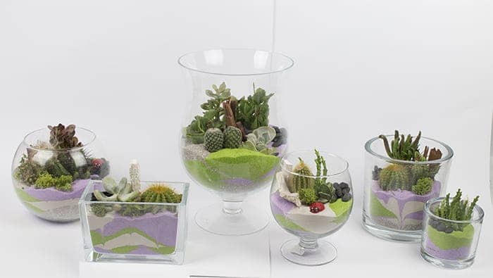 Come creare fantastiche composizioni di piante grasse in vetro che