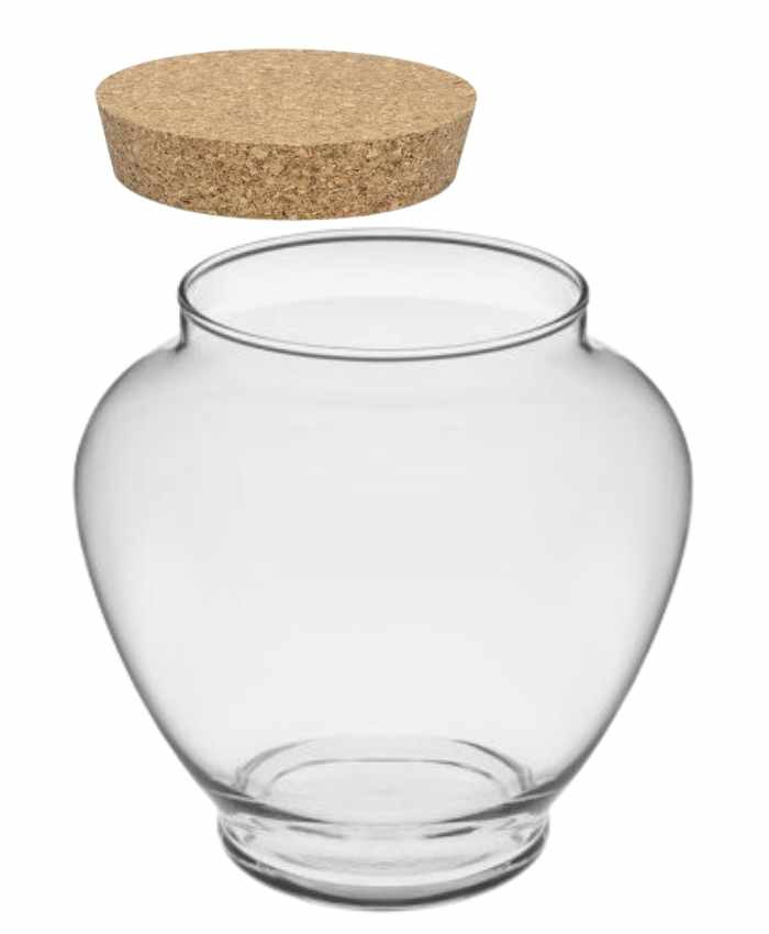 Terrarium: vendita ingrosso vasi vetro per terrario piante