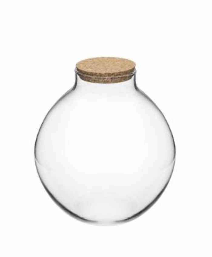 Vaso in vetro a forma di Orcio con tappo sughero per Terraium alto