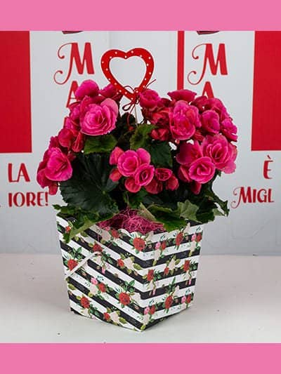 Box PERSONALIZZABILE Cose Speciali Flower - Piccola Farmacia