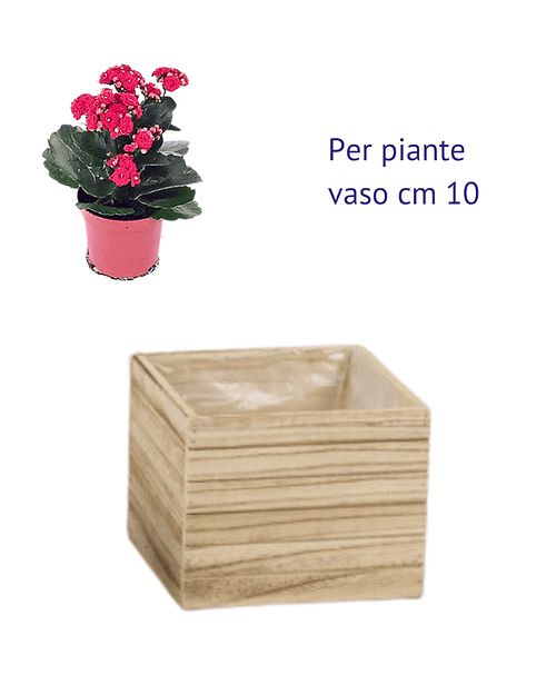 Immagine e commerce Cassetta in legno naturale quadrata per piante vaso 10 cm