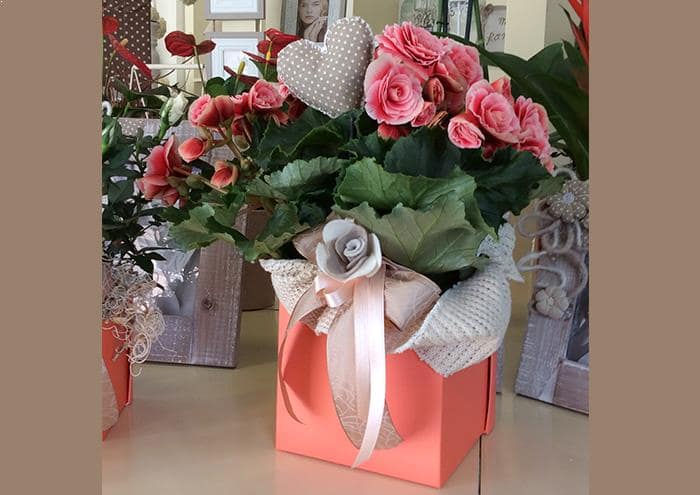 Scatole per fiori a forma di cubo cm 14 (Echo peach)