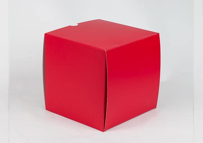 Surprise Box middle quadrata confezione regalo per fiori in scatola (Rosso appassionato)